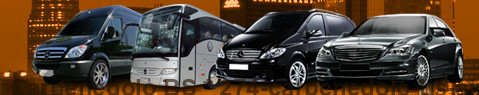 Service de transfert Carpenedolo BS | Service de transport Carpenedolo BS