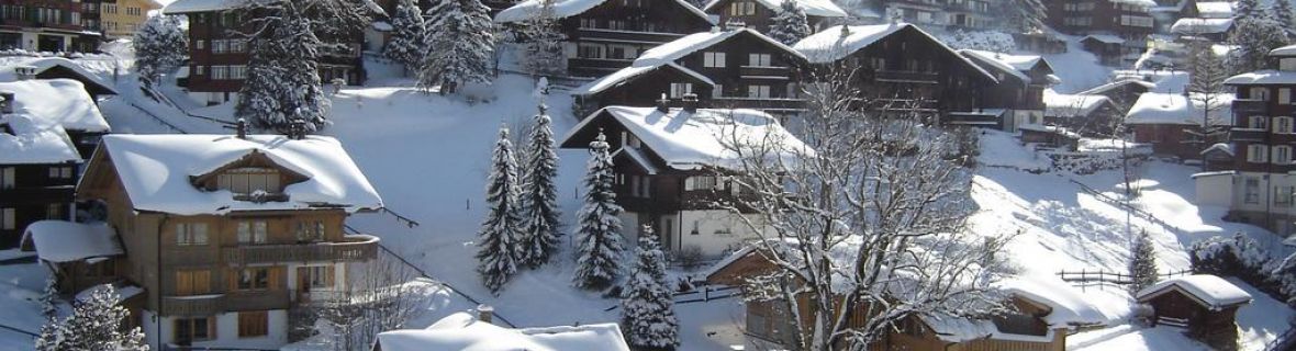 Transfer to Grindelwald | Limousine | Minibus | Coach | Car