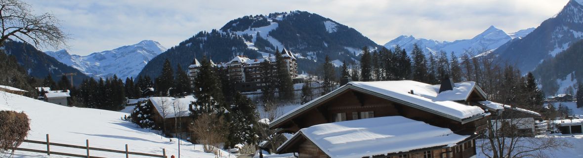 Transfer to Gstaad | Limousine | Minibus | Coach | Car